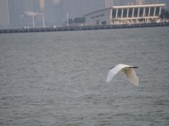 -石炮台公园