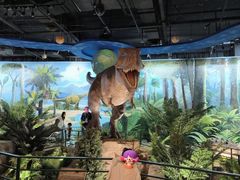 -陕西自然博物馆