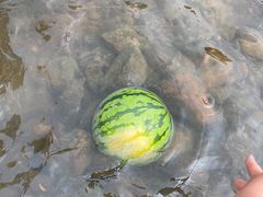 -杭州双溪漂流景区