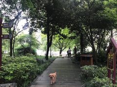 -成都市活水公园
