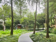 -西溪国家湿地公园