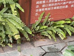 -碧桂园润杨溪谷温泉酒店