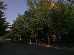 -辽宁大学(崇山校区)