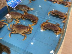 -双井轩(双井店)