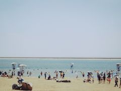 -碧海金沙