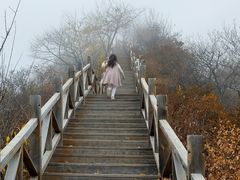 -大岭沟猕猴桃谷风景区