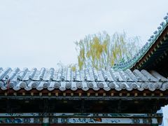 -迎泽公园