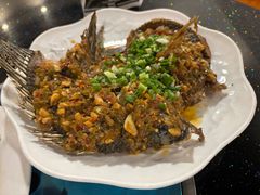 -草墩罗非鱼庄•野生菌•腊排骨(七星街上段店)