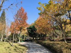 -成飞公园