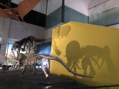 -湖南省地质博物馆