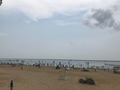 -碧海金沙