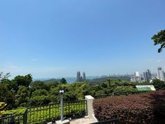 -花柏山公园