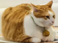 -小时光咖啡馆(北锣鼓巷店)