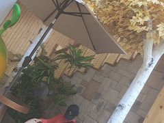 -尹家峪田园综合体