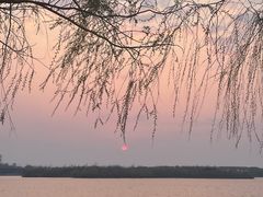 -丁香湖公园