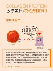 点击看大图 -玛莲朵·海菲秀冰珀科
