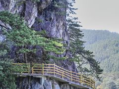 -宜春明月山维景国际温泉度假酒店