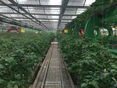 -兰陵国家农业公园