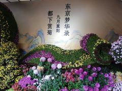 -杭州植物园