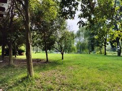 -白鹭湾湿地公园