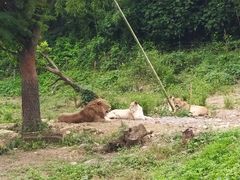 -宁波野生动物园