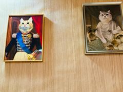 -MOCHA明星猫咖(田子坊店)