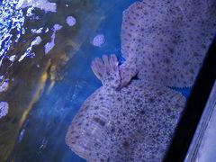 -悦硒楼·新派恩施菜