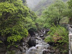 -宁波五龙潭景区