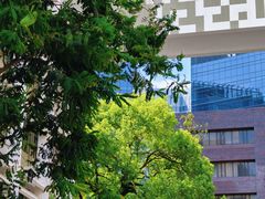 -香港大学