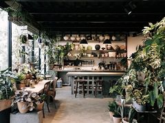 -自由生长植物工作室(深港花卉中心店)