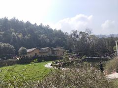-秦巴石锅鱼(文化南路店)