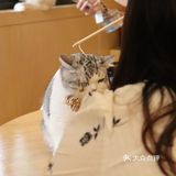 饮料咖啡都是无限畅饮的!可以玩一个下午的好去处
