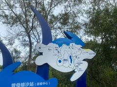 -广东惠东海龟国家级自然保护区