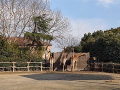 -上海野生动物园