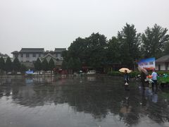 -关林