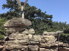 -长春市南湖公园