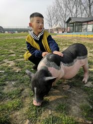 -上美四季动物农场