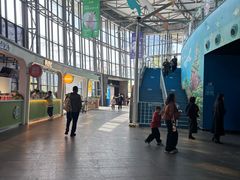 -海合安成都极地海洋公园