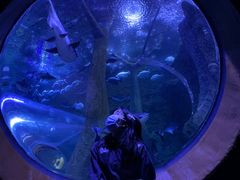 -成都浩海立方海洋公园