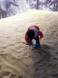 -恐龙探索乐园(磁器口店)