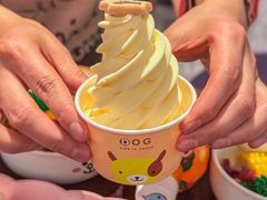 -dodonpa.墩墩伐 便当食堂(博华广场店)