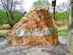 -北京麋鹿生态实验中心
