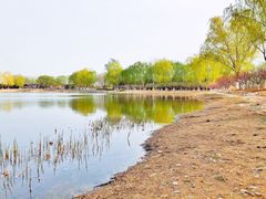 -永定河休闲森林公园