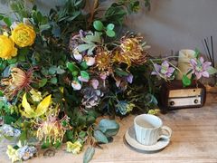 -IFIF 如果花園(宽厚里店)