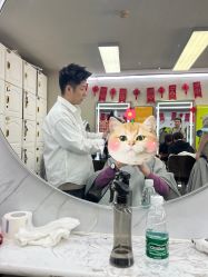 -和木形象