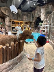 -宝燕乐园(闵行旗舰店)