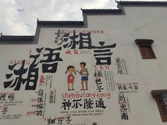 -洋湖国家湿地公园