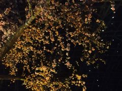 -盛泰恐龙谷温泉