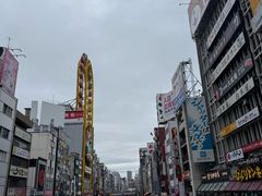 -蟹道乐(道顿堀本店)