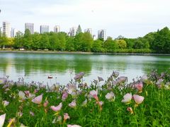-石湖景区